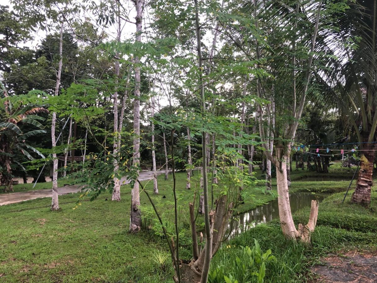 Grace Guesthouse 古打毛律 外观 照片